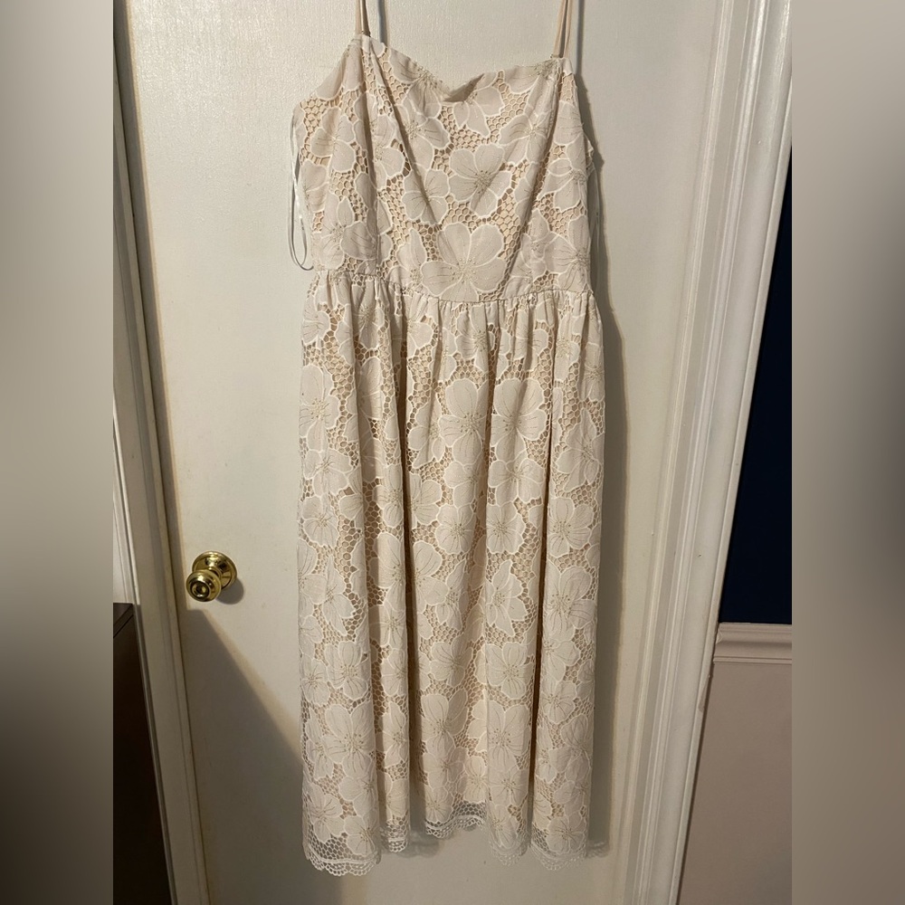 New York & Company Floral Lace Dress in Cream and Gold